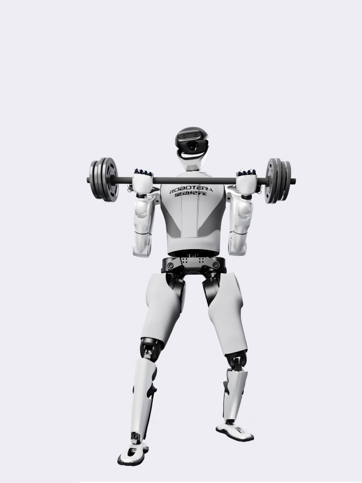 Humanoid Manipulators